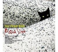 Soul Flower Union - Aqua Vite [Import]
