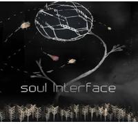 soul Interface PC Steam CD Key