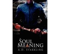 Soul Meaning: Book 1 (Seventeen)