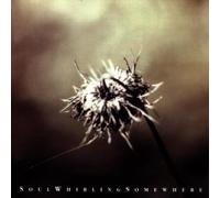 Soul Whirling Somewhere - Everyone Will Eventually Leave