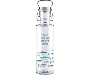 soulbottles You're right - 0,60 l
