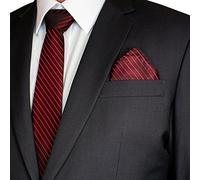 SoulCats SET: patterned tie with handkerchief + instructions for stripes tie men, model: model 1