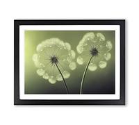 Soulful Dandelion Flowers Framed Wall Art Print A2 Black