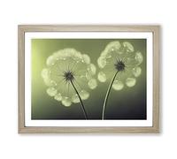 Soulful Dandelion Flowers Framed Wall Art Print A2 Oak