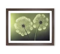 Soulful Dandelion Flowers Framed Wall Art Print A2 Walnut