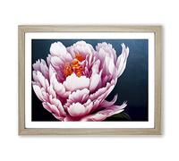 Soulful Peony Flower H1022 BLK Framed Print for Living Room Bedroom Home Office Décor, Wall Art Picture Ready to Hang, Oak A4 Frame (34 x 25 cm)