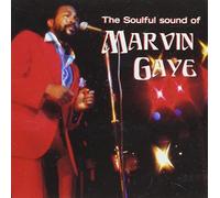Soulful Sound of Marvin Gaye