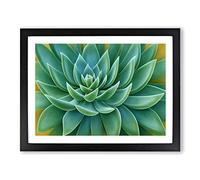Soulful Succulent Plant Framed Print | A4 Black Framed Wall Art | Ready to Hang | Modern Floral Picture | Living Room Bedroom Lounge Office