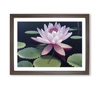 Soulful Water Lily Flower Framed Wall Art Print A2 Walnut