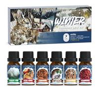 SoulOrigin Winter Fragrance Oil Set, Essential Oils Set 6x10ml Paired with Aromatherapy Machine- Forest Pine, Cinnamon, Spiced Apple Cider, Mint Hot Chocolate,Cranberry, Gingerbread
