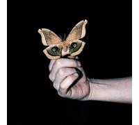 Soulwax - All Systems Are Lying [VINYL]