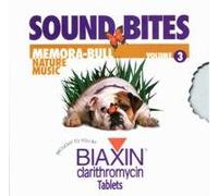 Sound Bites Volume 3: Forest Splendor