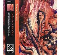 Sound Column by Lights in a Fat City