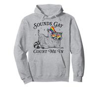 Sound Gay Count Me In LGBTQ Pride Month Raccoon Rainbow Flag Pullover Hoodie