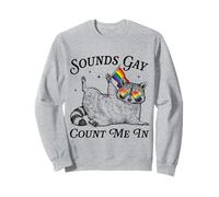 Sound Gay Count Me In LGBTQ Pride Month Raccoon Rainbow Flag Sweatshirt
