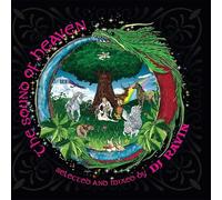 Sound Of Heaven By DJ Ravin [VINYL]