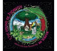 Sound Of Heaven By DJ Ravin [VINYL]