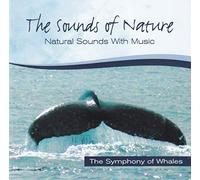Sound of Nature - Symphony Of Whales