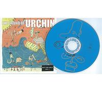 Sound of Urchin - Sound of Urchin