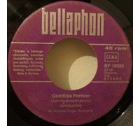 Soundation - Goodbye Forever