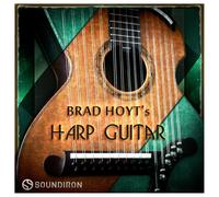 SoundIron Brad Hoyts Harp Guitar