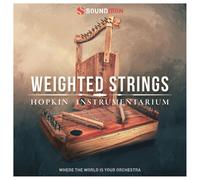 SoundIron Hopkin Instrumentarium: Weighted Strings