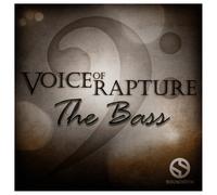 SoundIron Voice of Rapture: The Bass
