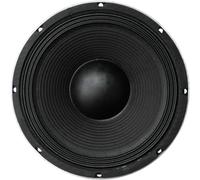 SoundLAB 10" Black 300 W Bass Speaker (8 Ohm)