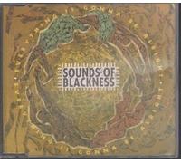 Sounds of Blackness - Everything's Gonna Be Alright