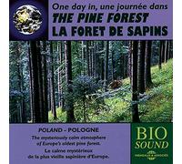 Sounds Of Nature - A Day in the Pine Forest (Poland)