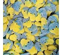 Sour Blueberry and Lemon Skulls Retro Sweet Shop Jar by The Gourmet Sweet Company