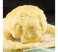 Sour Cabbage | Pickled Whole Cabbage Head | Perfect for Making Sarma (3 Pack)