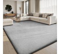 Sour Lemon Extra Large Rugs Living Room 240x300cm,Grey Carpet for Bedroom