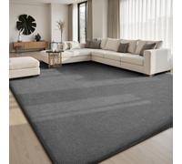 Sour Lemon Large Rugs Living Room 200x300cm,Grey Rug Carpet for Bedroom