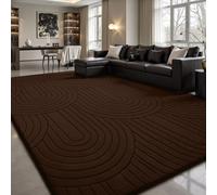 Sour Lemon Rugs Living Room 120x160cm,3D Semicircular pattern Coffee Area Rugs for Bedroom,Extra Large Rugs for living room,Machine Washable Anti Slip Short Pile Rug for Kids Room Bedroom