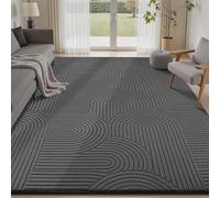 Sour Lemon Rugs Living Room 275x370cm, Dark Grey Extra Large Bedroom Rug
