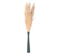 sourcing map 10 Stems Pampas Grass Decor Tall, 46 Inch Large Fluffy Artificial Pampas Grass Dried Flowers for Home Farmhouse Wedding Decor, Beige