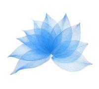 sourcing map 100 Pcs Cyan Skeleton Leaves, 2"- 3" Rubber Tree Scrapbooking Dried Pressed Leaves Vein for Photo Albums Crafts Wedding Cards Arrangements Decor Gifts