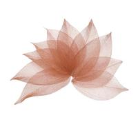sourcing map 100 Pcs Dark Pink Skeleton Leaves, 2"- 3" Rubber Tree Scrapbooking Dried Pressed Leaves Vein for Photo Albums Crafts Wedding Cards Arrangements Decor Gifts