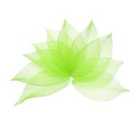 sourcing map 100 Pcs Grass Green Skeleton Leaves, 2"- 3" Rubber Tree Scrapbooking Dried Pressed Leaves Vein for Photo Albums Crafts Wedding Cards Arrangements Decor Gifts