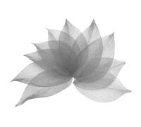 sourcing map 100 Pcs Grey Skeleton Leaves, 2"- 3" Rubber Tree Scrapbooking Dried Pressed Leaves Vein for Photo Albums Crafts Wedding Cards Arrangements Decor Gifts