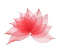 sourcing map 100 Pcs Red Skeleton Leaves, 2"- 3" Rubber Tree Scrapbooking Dried Pressed Leaves Vein for Photo Albums Crafts Wedding Cards Arrangements Decor Gifts