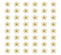 sourcing map 100Pcs Dried Pressed Flowers, 0.24-0.31" Colorful Dried Pressed Narcissus Flowers Bulk for Nail Art Resin Jewelry Candle Card Making Scrapbook Phone Case Decoration, White