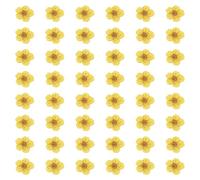 sourcing map 100Pcs Dried Pressed Flowers, 0.24-0.31" Colorful Dried Pressed Narcissus Flowers Bulk for Nail Art Resin Jewelry Candle Card Making Scrapbook Phone Case Decoration, Lemon Yellow