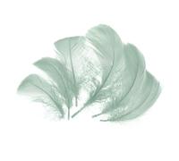sourcing map 100Pcs Ice Green Craft Feathers, 3-6 Inch Colored Feathers for Crafting, Fluffy Feather Bulk for DIY Crafts, Dream Catcher Supplies, Wedding Party Decoration