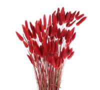 sourcing map 100pcs Natural Dried Pampas Rabbit Bunny Tails Dried Flowers 18" Mini Pampas Grass Lagurus Ovatus Bunch for Home Floral Decor, Red