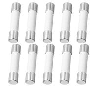 sourcing map 10Pcs 6x30mm Ceramic Fuse 250V Slow Blow Ceramic Fuses Miniature Fuses for LCD TV (T10A)