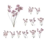 sourcing map 12 Pcs Natural Dried Pressed Flowers for Craft, Lace Real Pressed Dried Flowers Colorful Bouquets for Resin Moulds DIY Scrapbooking Candle Jewelry Making, Light Purple
