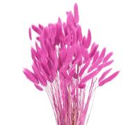 sourcing map 120pcs Natural Rabbit Bunny Tails Dried Flowers 17" Mini Pampas Grass Lagurus Ovatus Bunch for Floral Wedding Decor Christmas, Rose Red