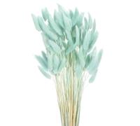 sourcing map 120pcs Natural Rabbit Bunny Tails Dried Flowers 17" Mini Pampas Grass Lagurus Ovatus Bunch for Floral Wedding Decor Christmas, Sky Blue